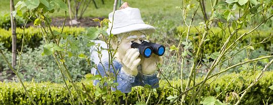 Andreas Burmann - Ihr Fotograf in Oldenburg Burmann Fotografie Oldenburg