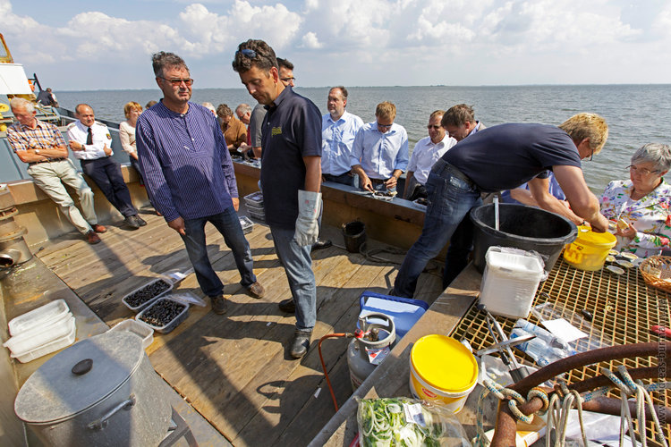 images/20130809-muschelfest-0782.jpg
