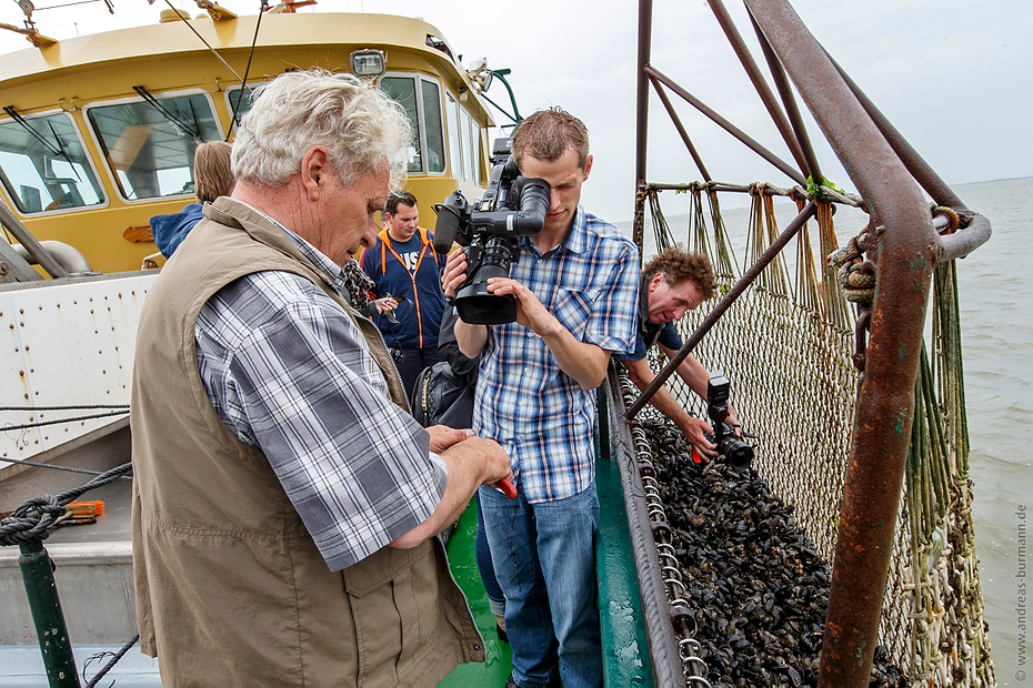 Foto 20140725-muschelfischer-0078.cr2 Niedersächsische Muschelfischer eröffnen Saison 2014 in Norddeich