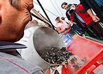 Vorschaubild für Datei burmann-foto-norddeich-muschelfischer-26.jpg Niedersächsische Muschelfischer eröffnen Saison 2014 in Norddeich