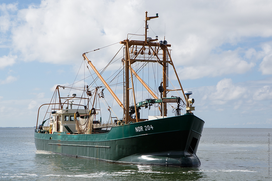 20160815-muschelfischer-363.jpg - Niedersächsische Muschelfischer eröffnen Saison 2016 in Greetsiel
