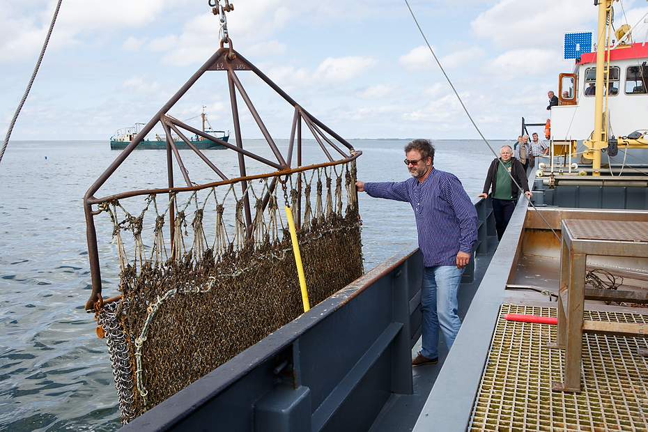 20160815-muschelfischer-367.jpg - Niedersächsische Muschelfischer eröffnen Saison 2016 in Greetsiel