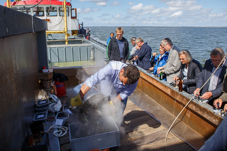 20160815-muschelfischer-641.jpg - Niedersächsische Muschelfischer eröffnen Saison 2016 in Greetsiel
