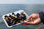Vorschaubild für Datei 20160815-muschelfischer-597.jpg Niedersächsische Muschelfischer eröffnen Saison 2016 in Greetsiel